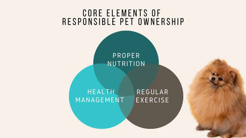 elements of responsible pet ownership, such as proper nutrition, regular exercise, and attentive health management, should always be at the forefront