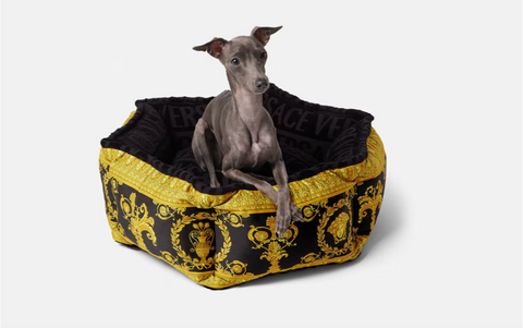 pet luxury, with plush pet beds adorned with golden Barocco accents